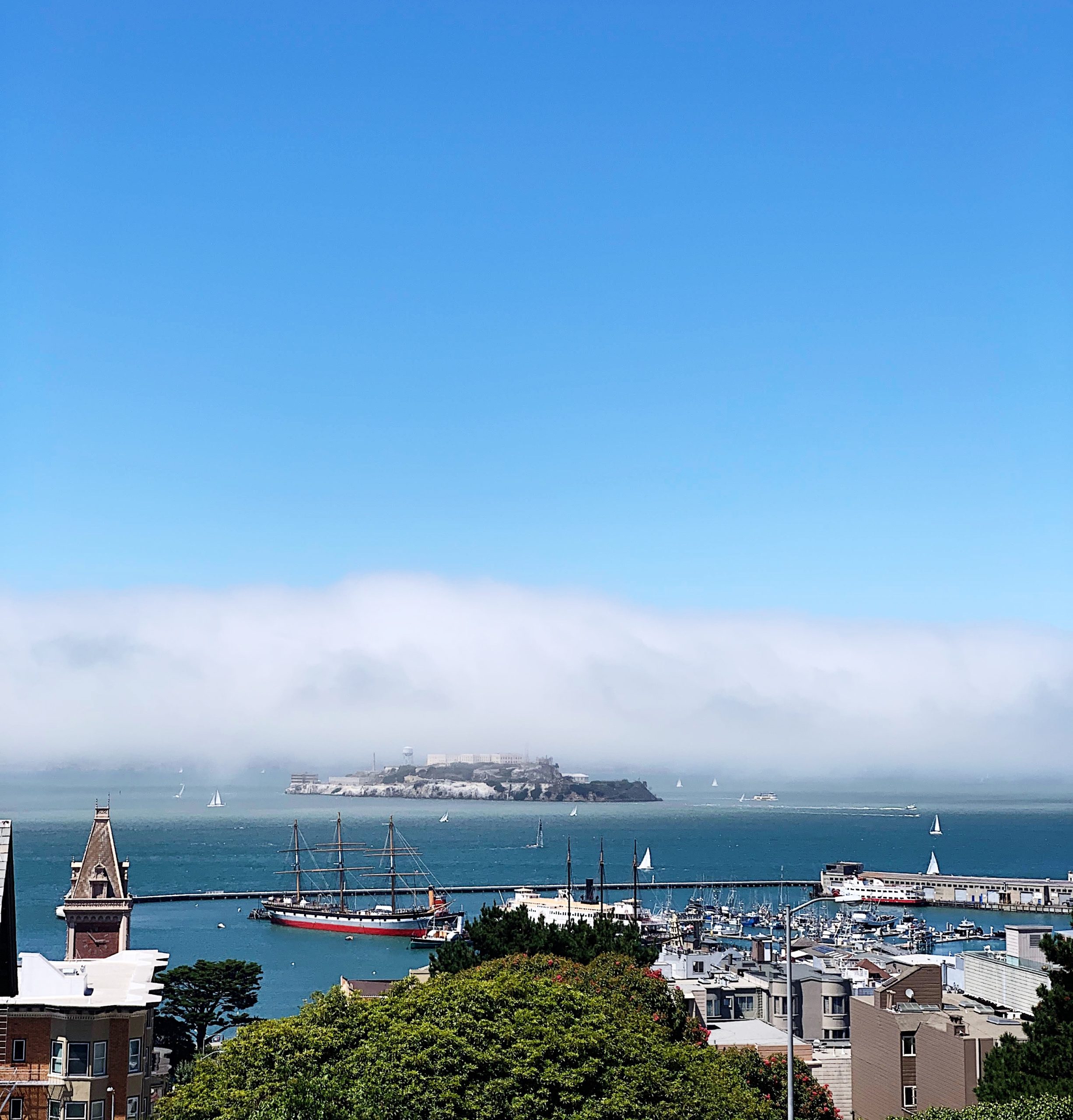 Alcatraz e la nebbia